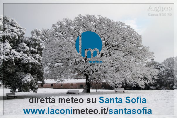 Ssofia